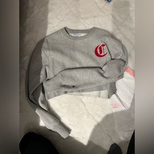 Champion Cropped Sweater